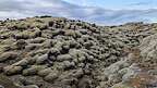 Eldhraun Lava Fields